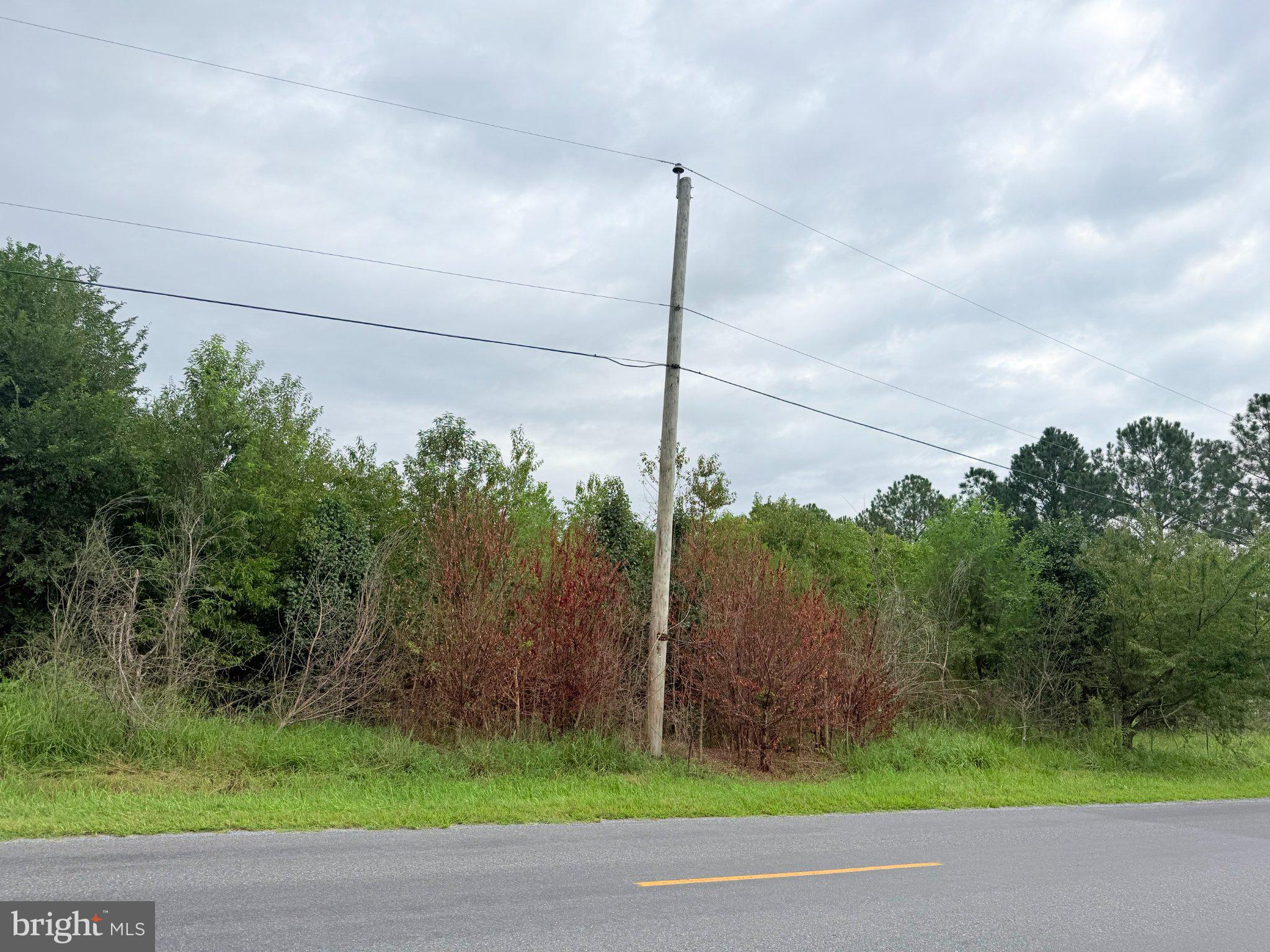 15441 CUTOFF ROAD
