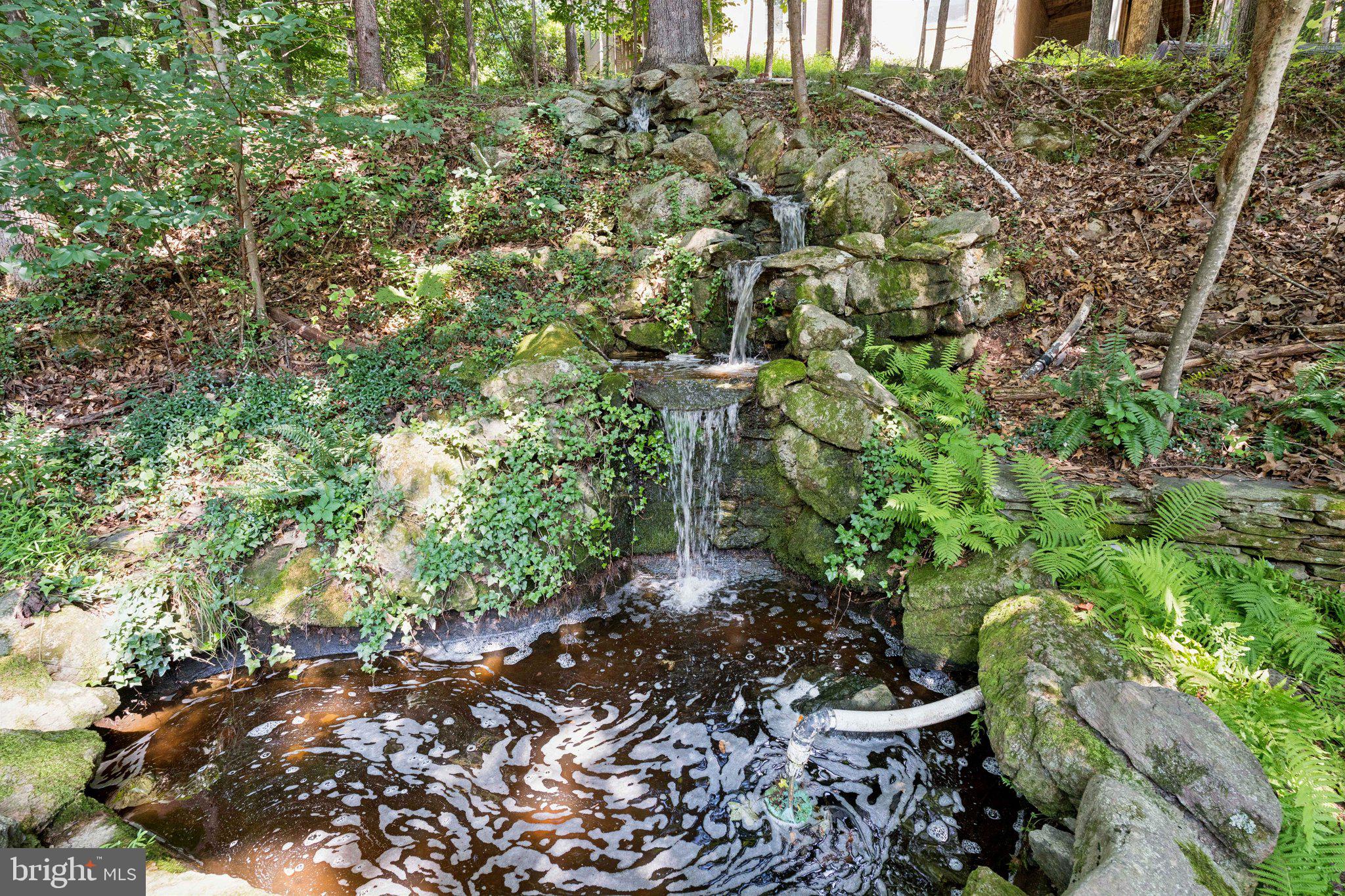 CONGRESSIONAL FOREST - Residential