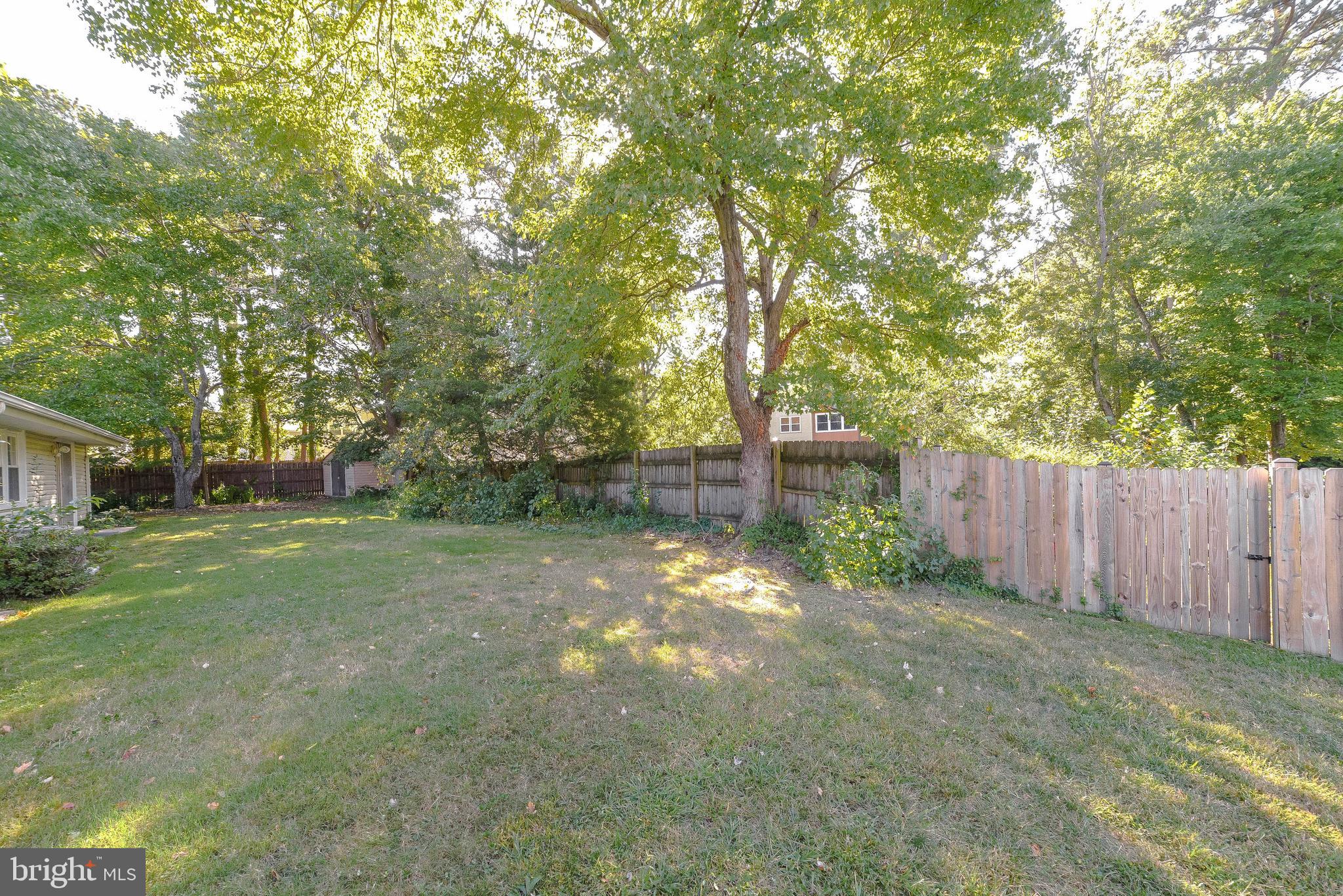 PINEFIELD - Residential