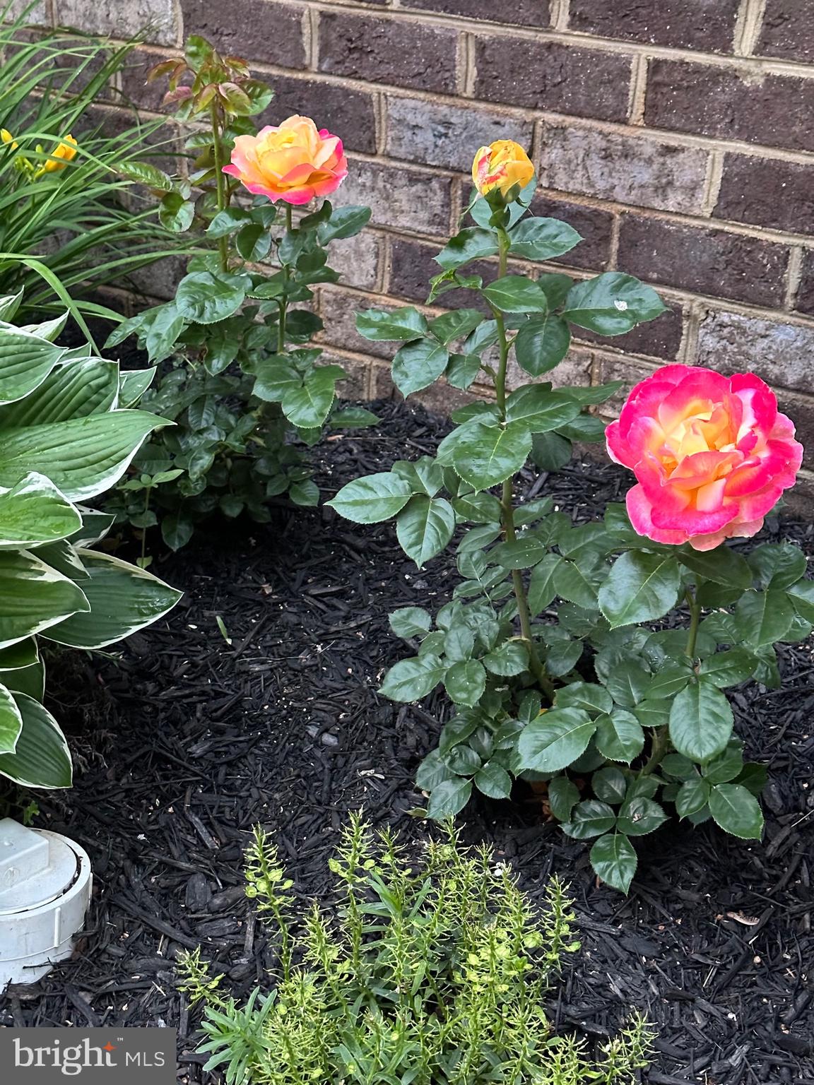 POTOMAC SHORES - Residential