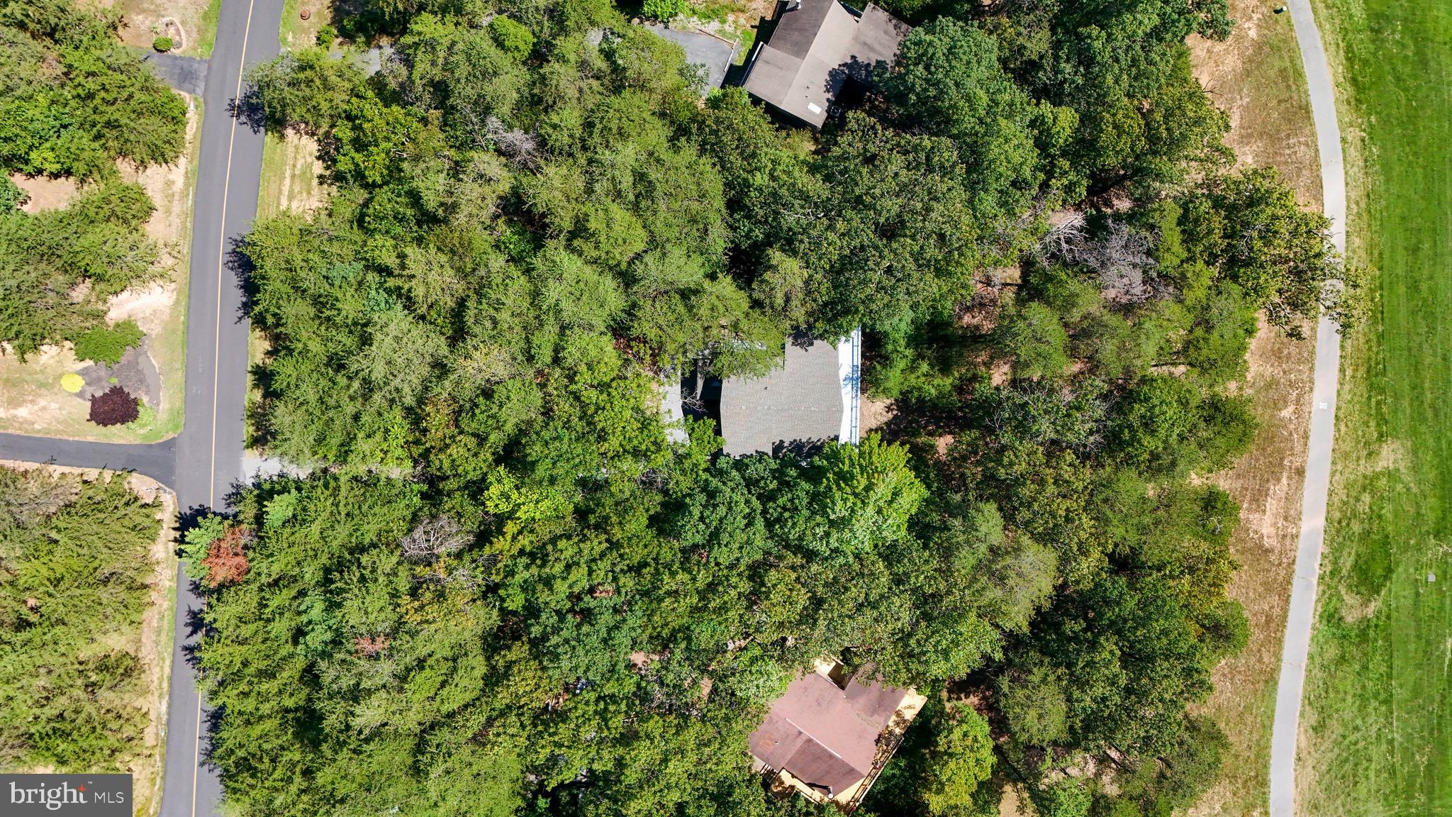 THE WOODS - Residential