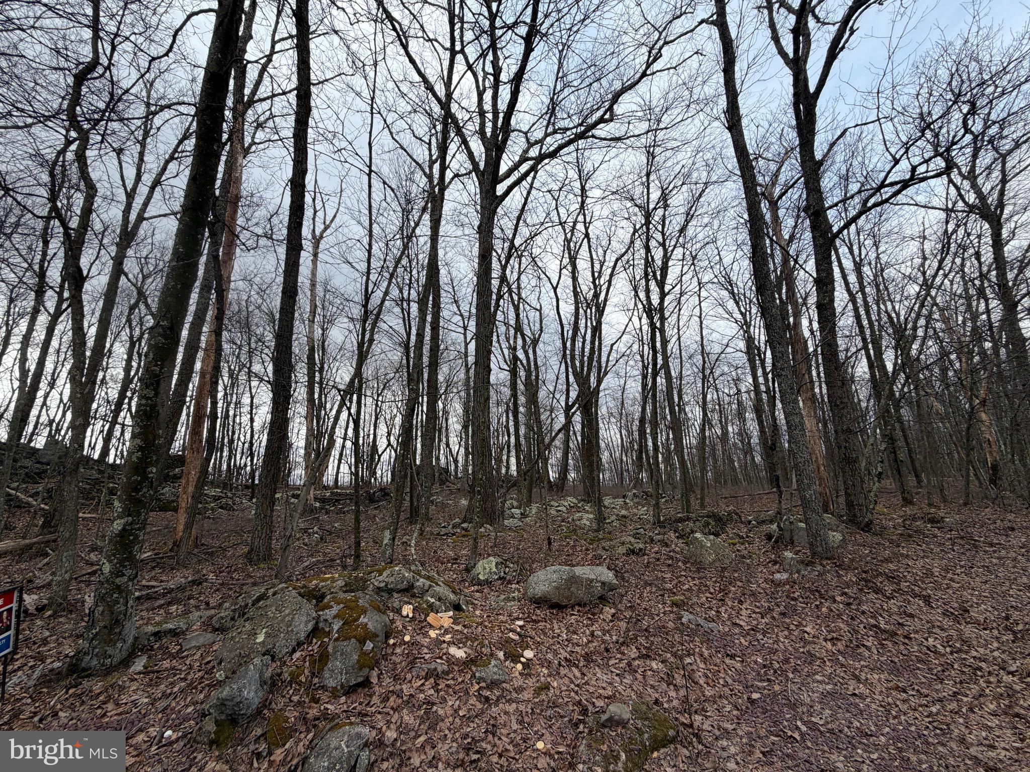 Lot 287.1 SPRING MOUNTAIN DR