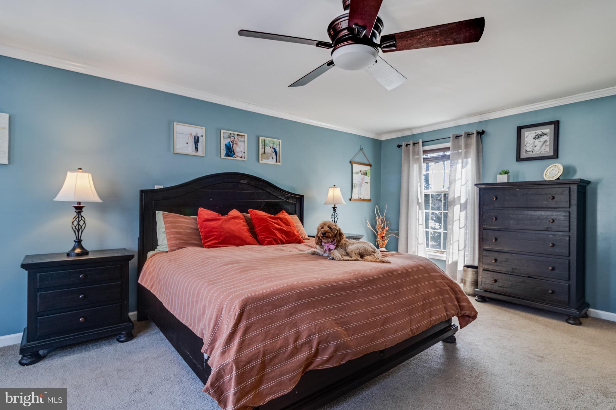 CEDAR COVE - Residential