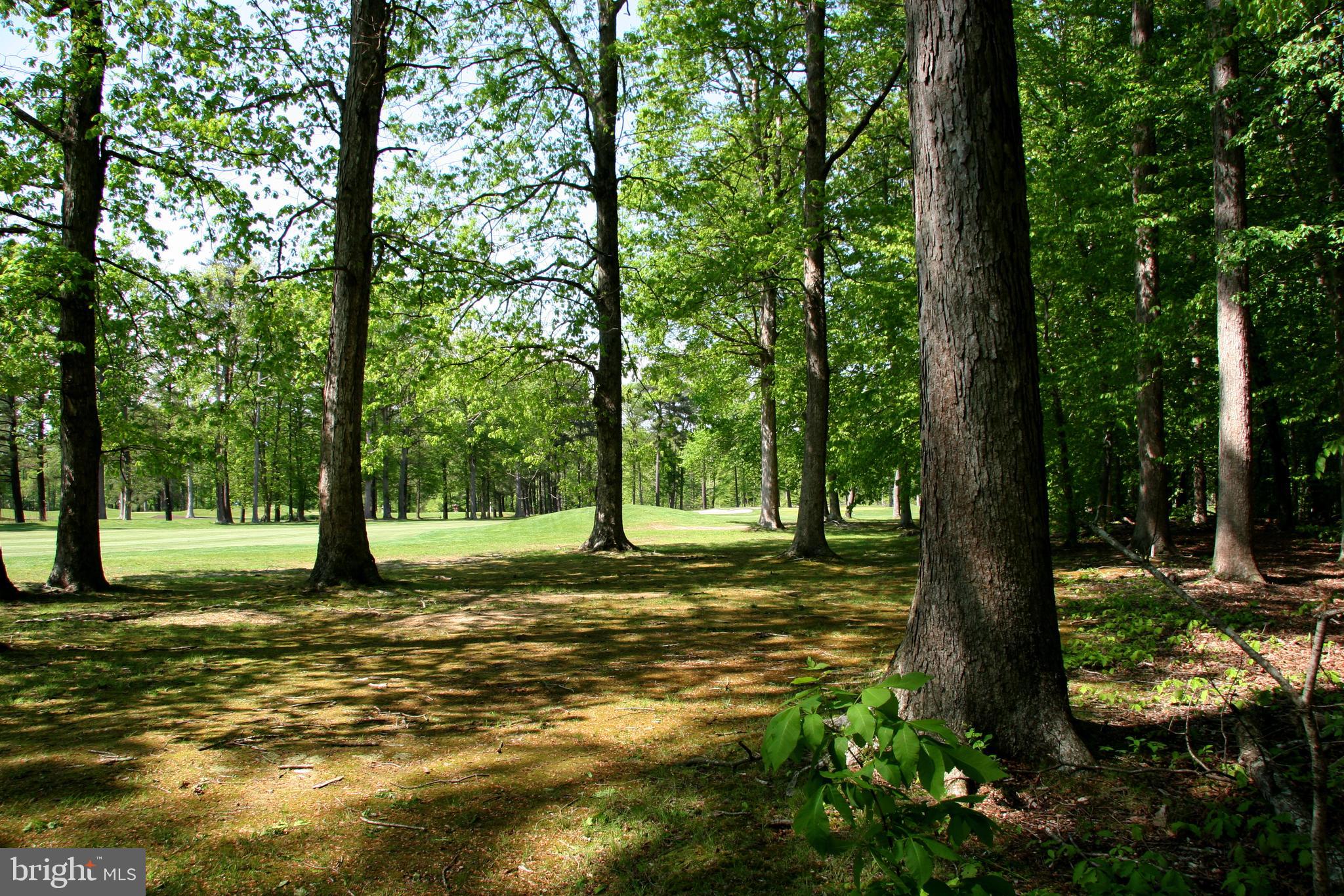 Lot 4 MUIRFIELD DRIVE