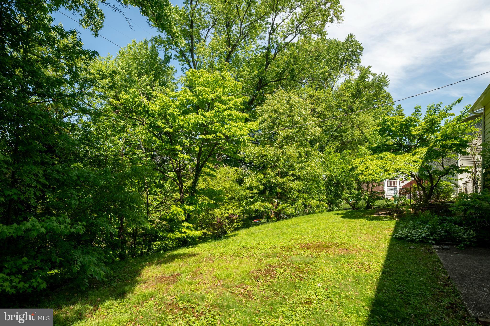 MAPLE RIDGE - Residential