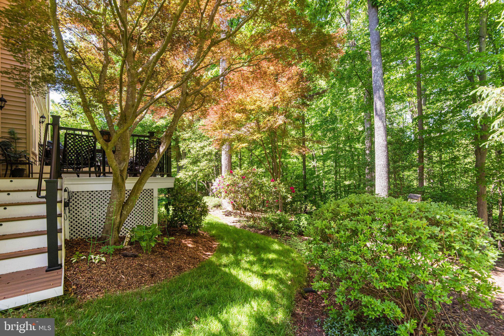 MEADOWBROOK WOODS - Residential