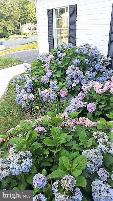 QUAILWOOD SUB - LA PLATA - Residential