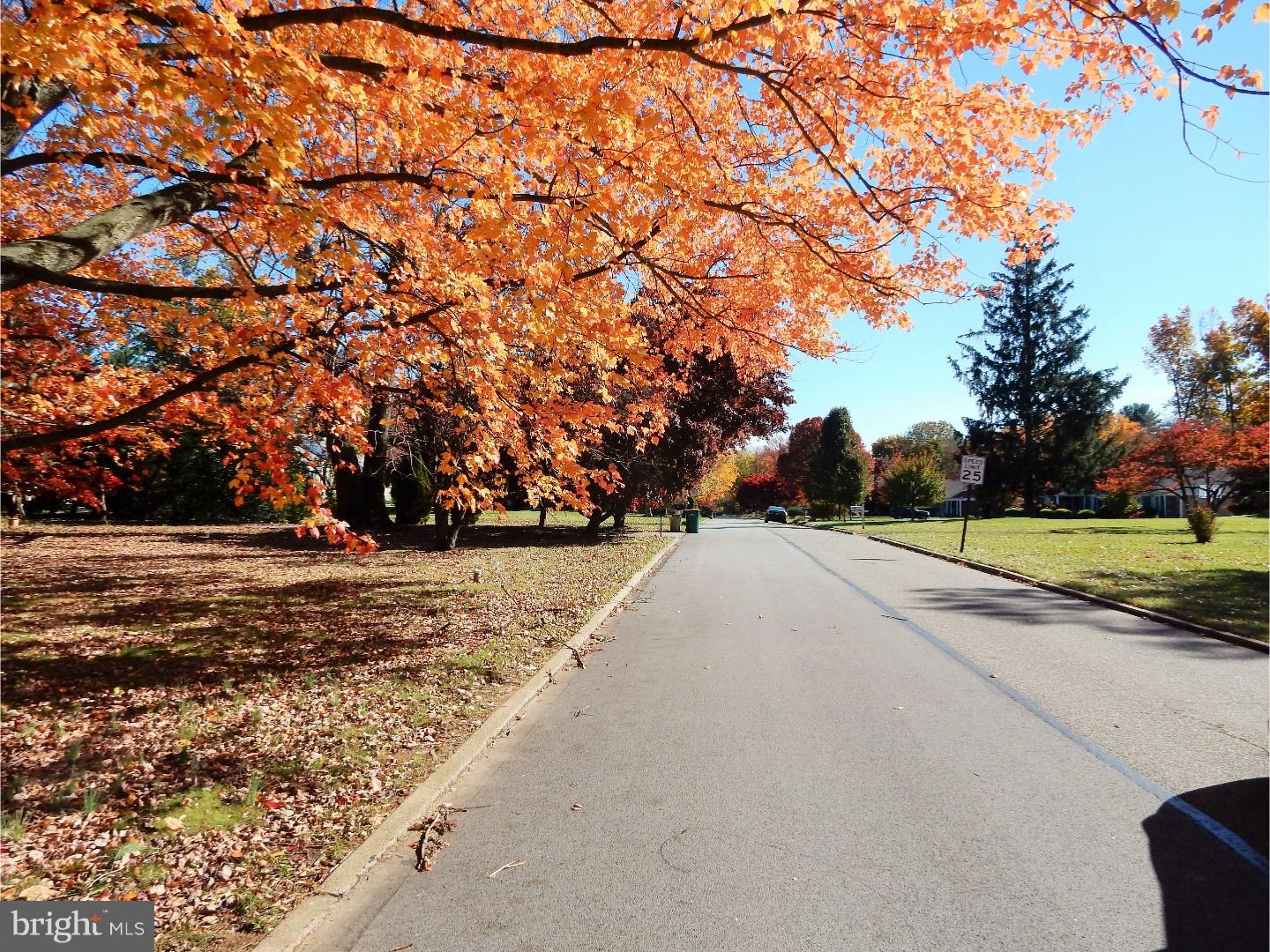 CANTERBURY WOODS - Residential