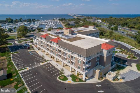 214 PIER 1 ROAD STEVENSVILLE MD 21666