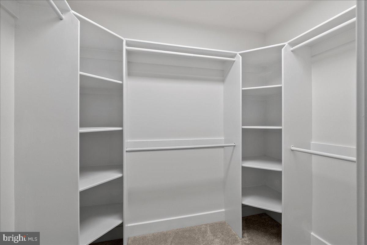 CHESTNUT HILL - Residential Lease