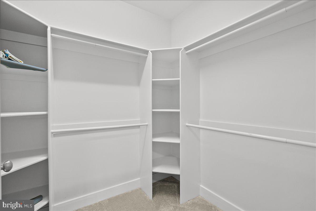 CHESTNUT HILL - Residential Lease