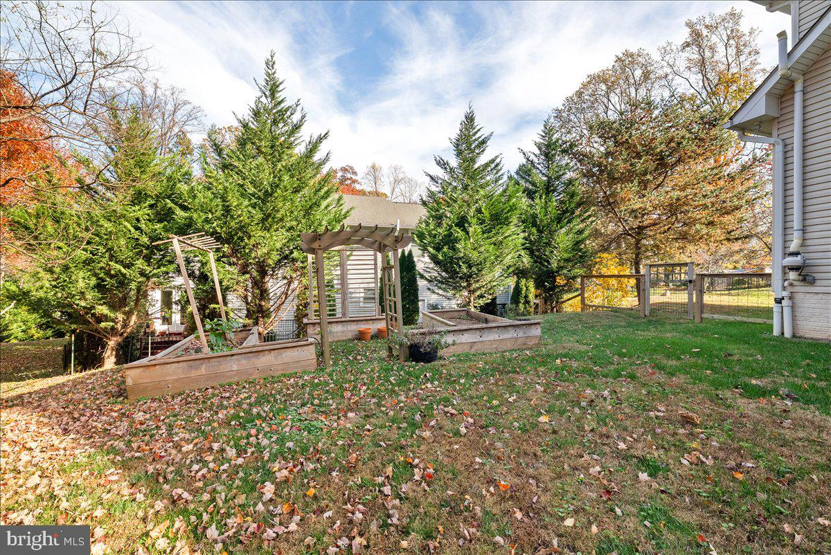 CHESTNUT HILL - Residential Lease