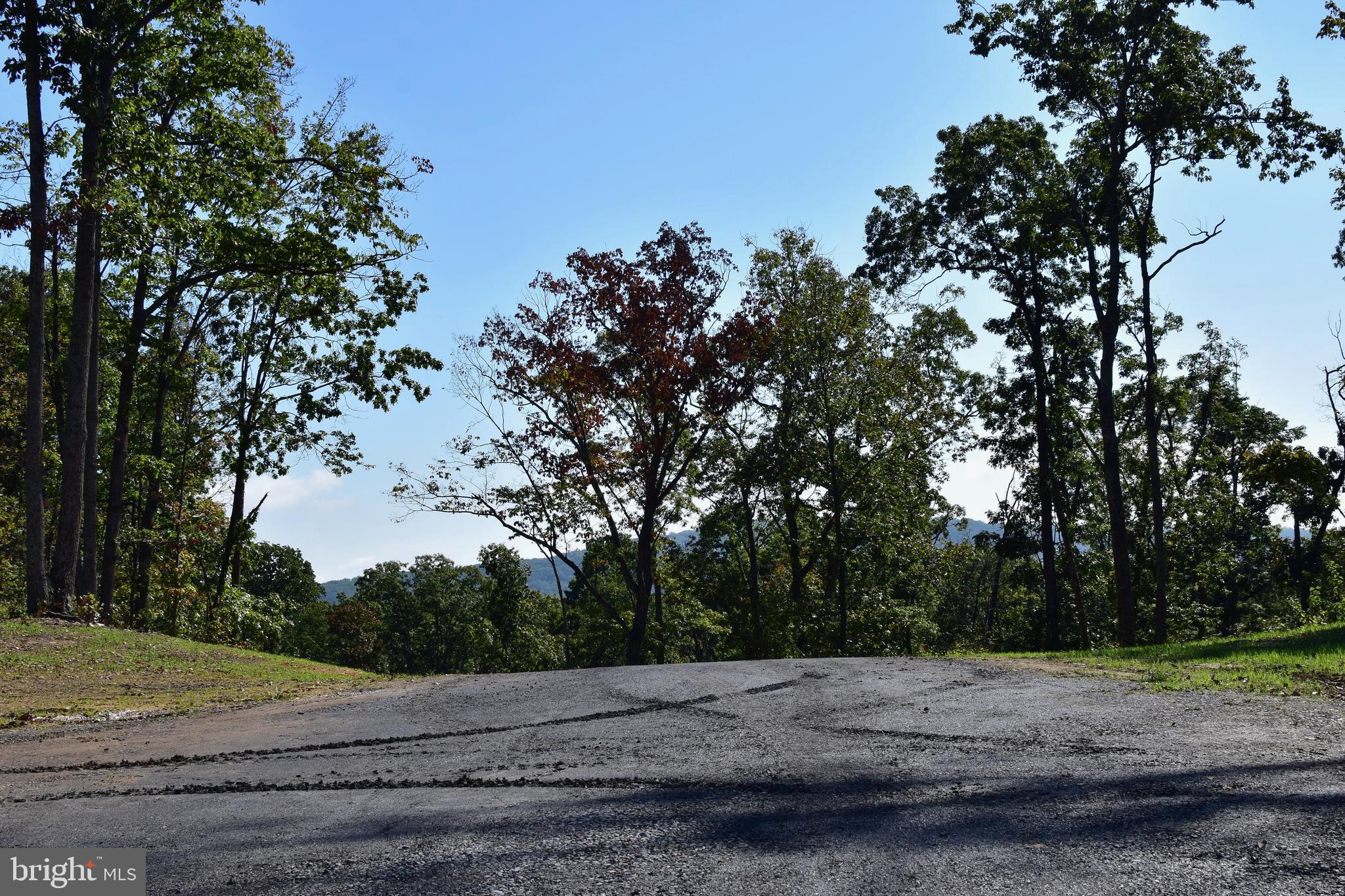 158.5 Acres Lot 3 LAUREL GROVE RD.