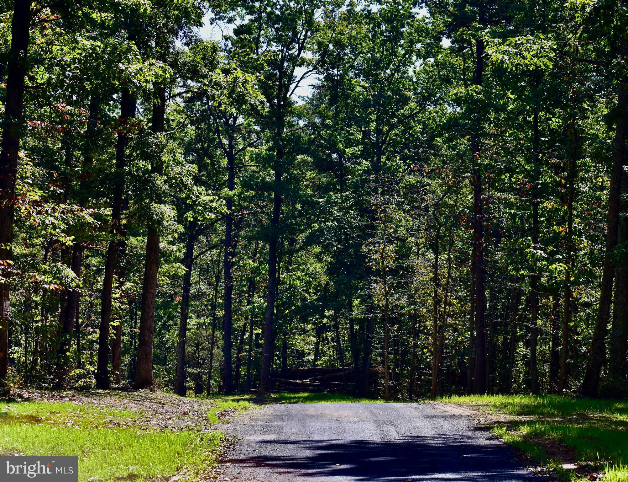 158.5 Acres Lot 3 LAUREL GROVE RD.