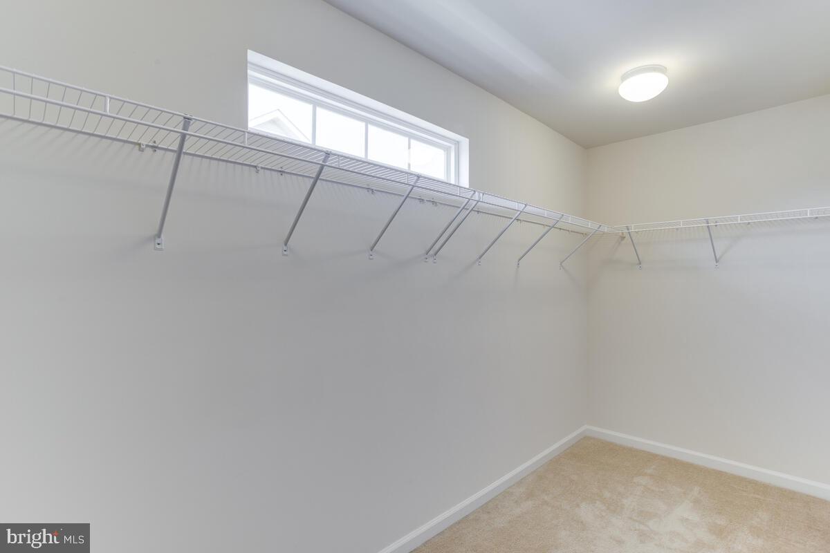 PINEY GROVE ESTATES - Residential