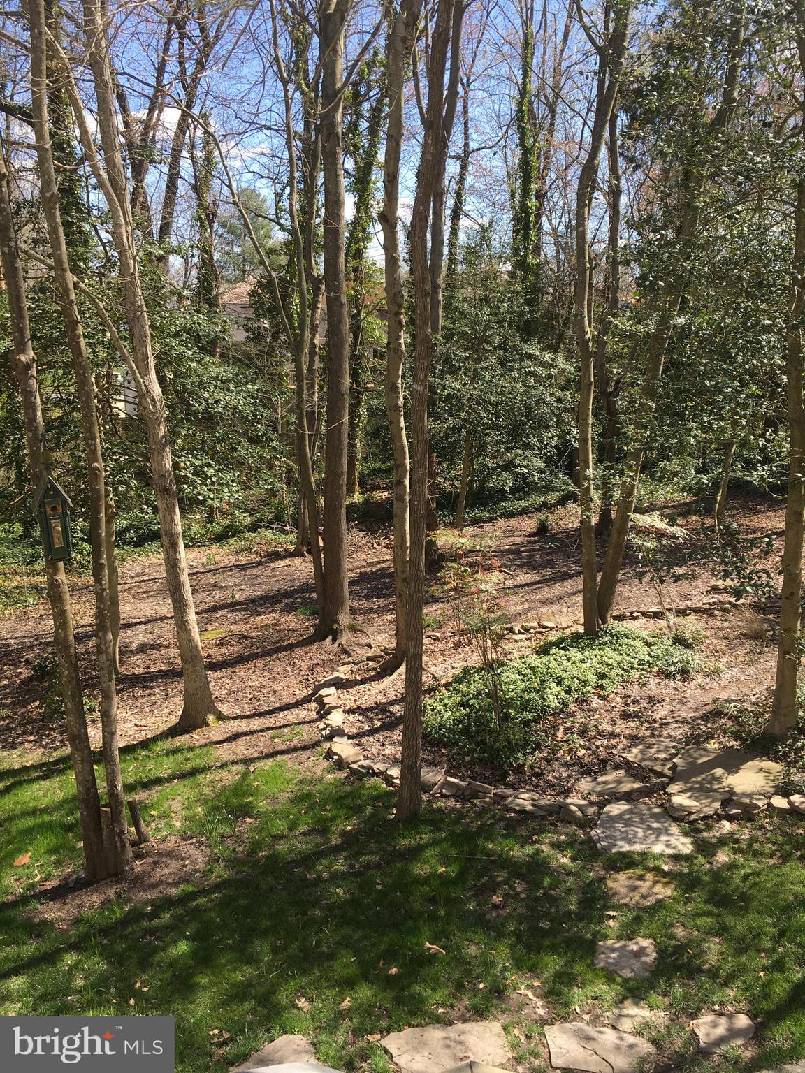 MONTCLAIR - Residential Lease