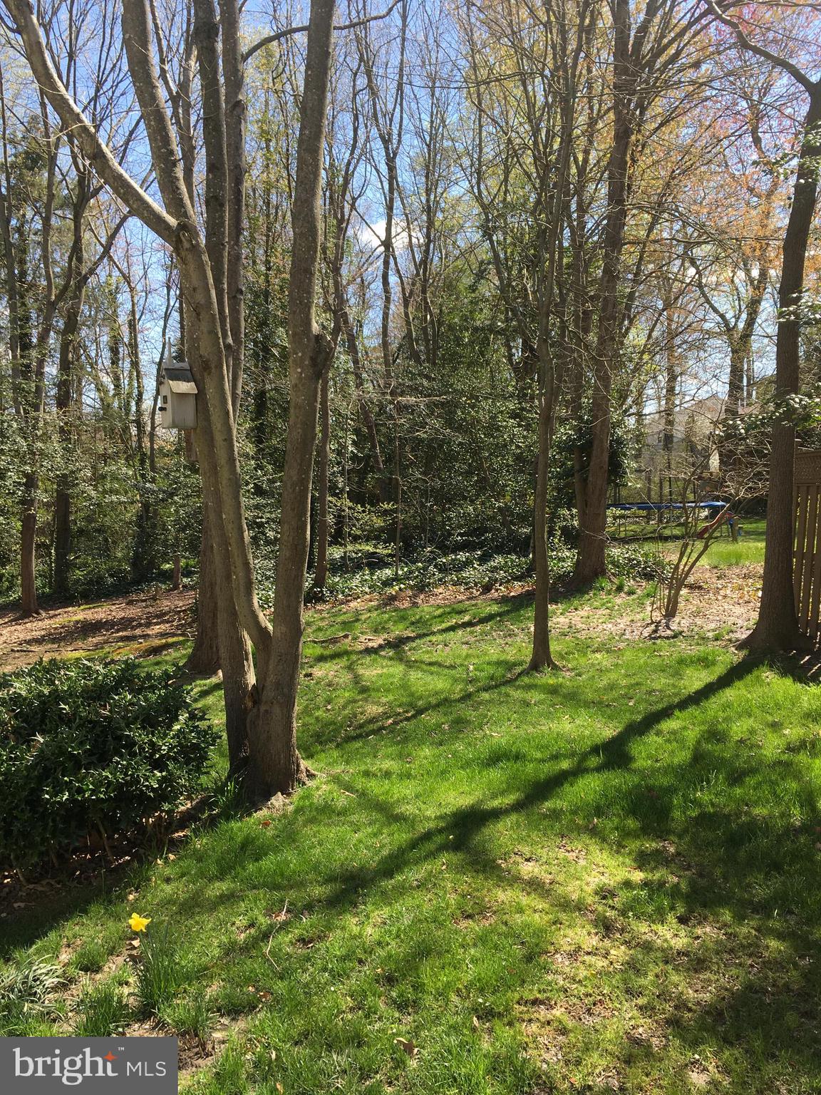 MONTCLAIR - Residential Lease