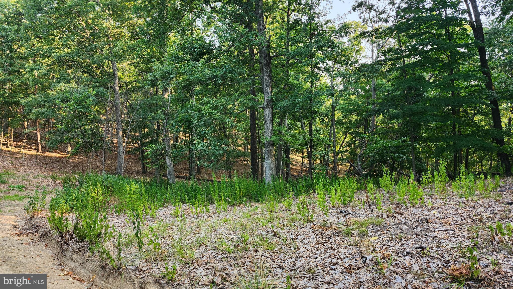 THE WOODS AT TAYLOR LAKE - Land