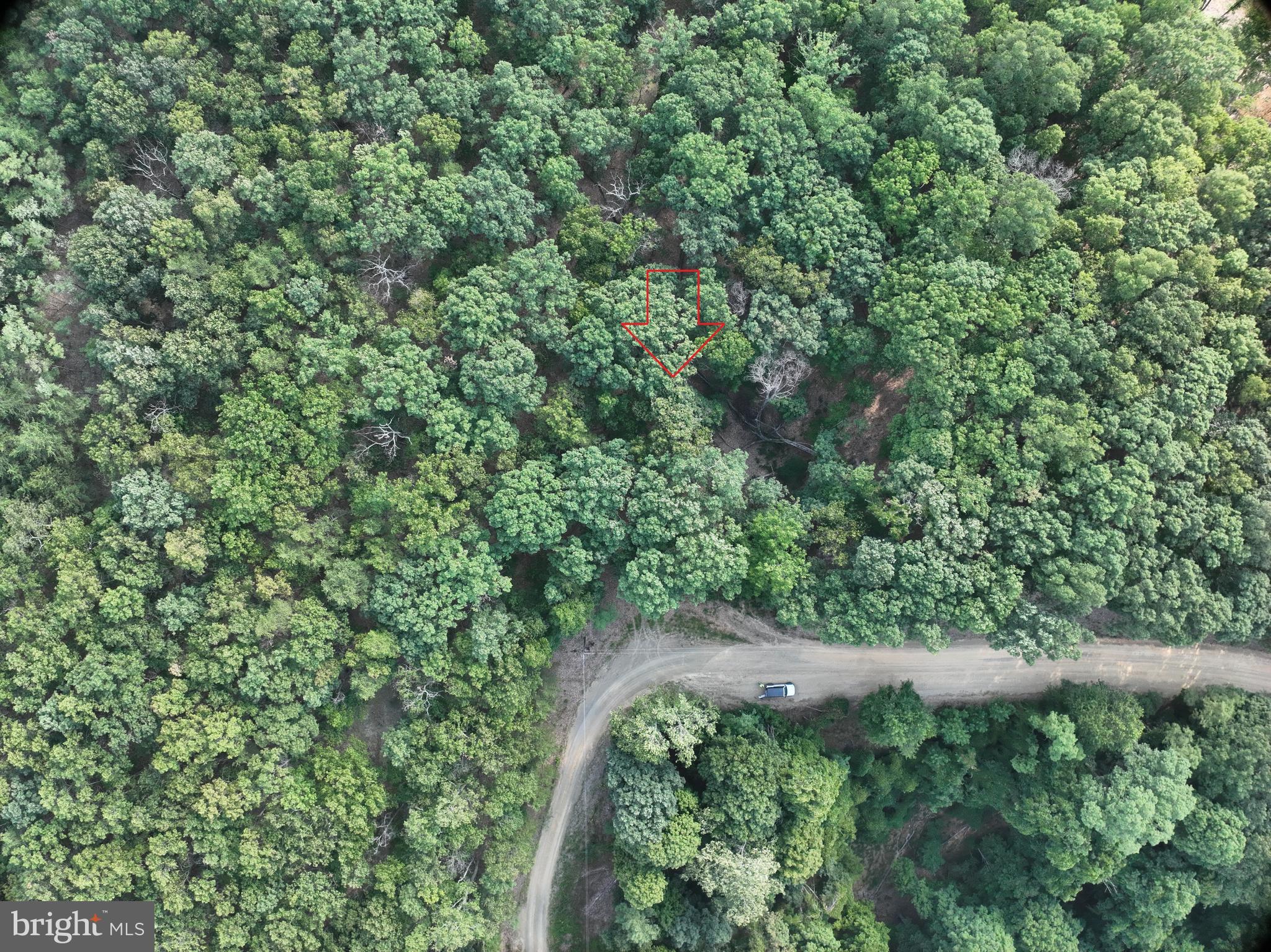 THE WOODS AT TAYLOR LAKE - Land