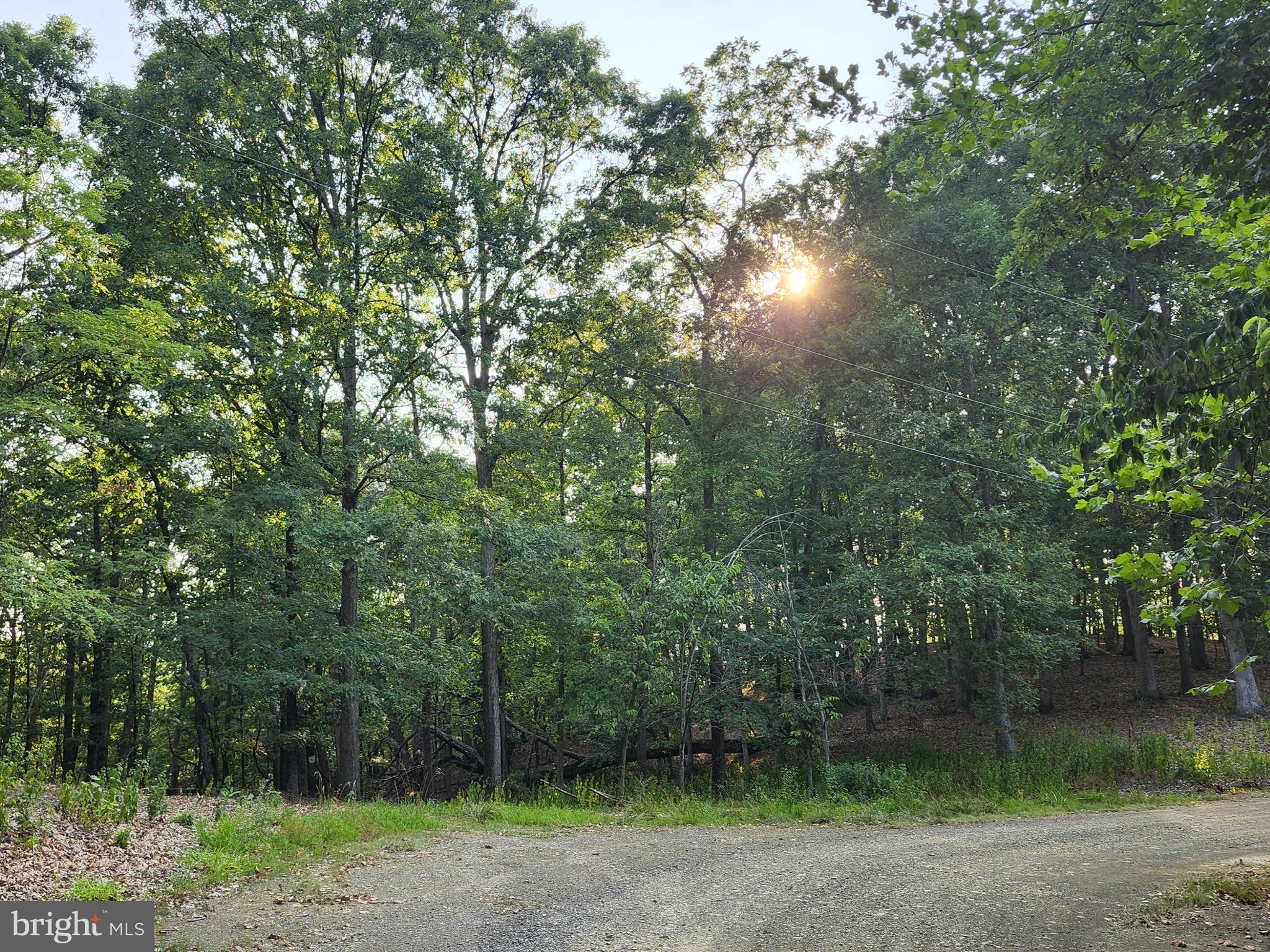 THE WOODS AT TAYLOR LAKE - Land