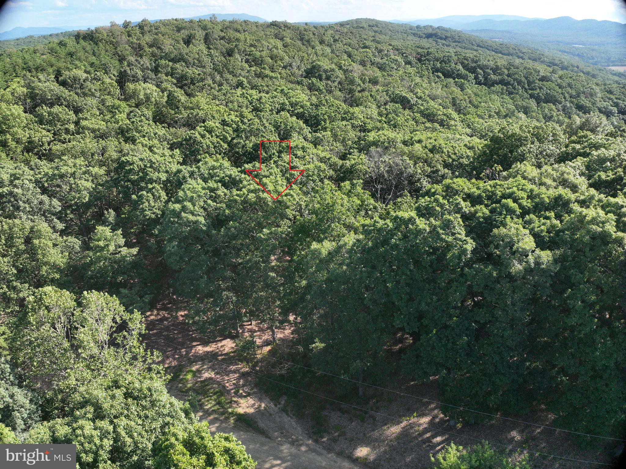 THE WOODS AT TAYLOR LAKE - Land