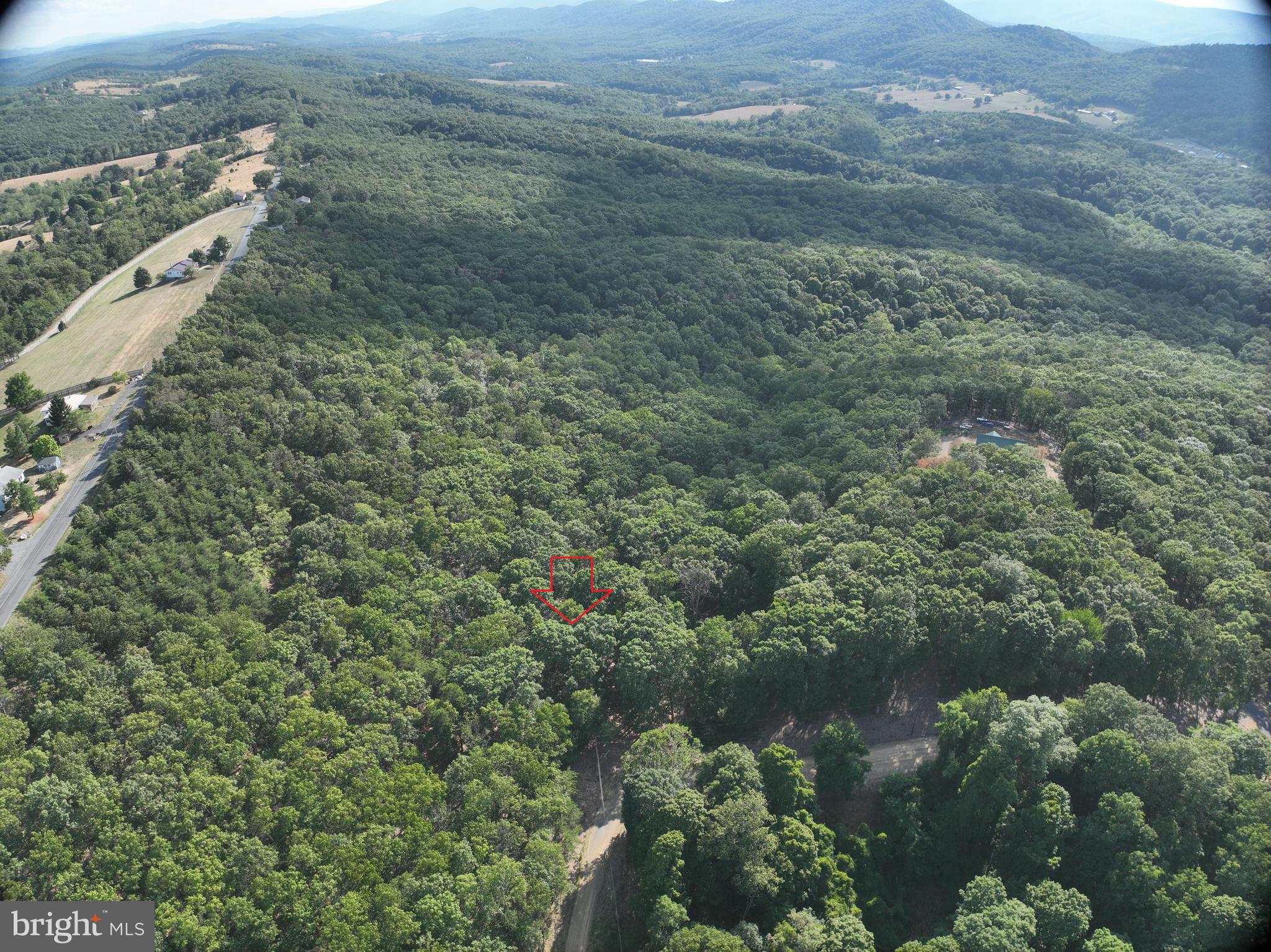 THE WOODS AT TAYLOR LAKE - Land