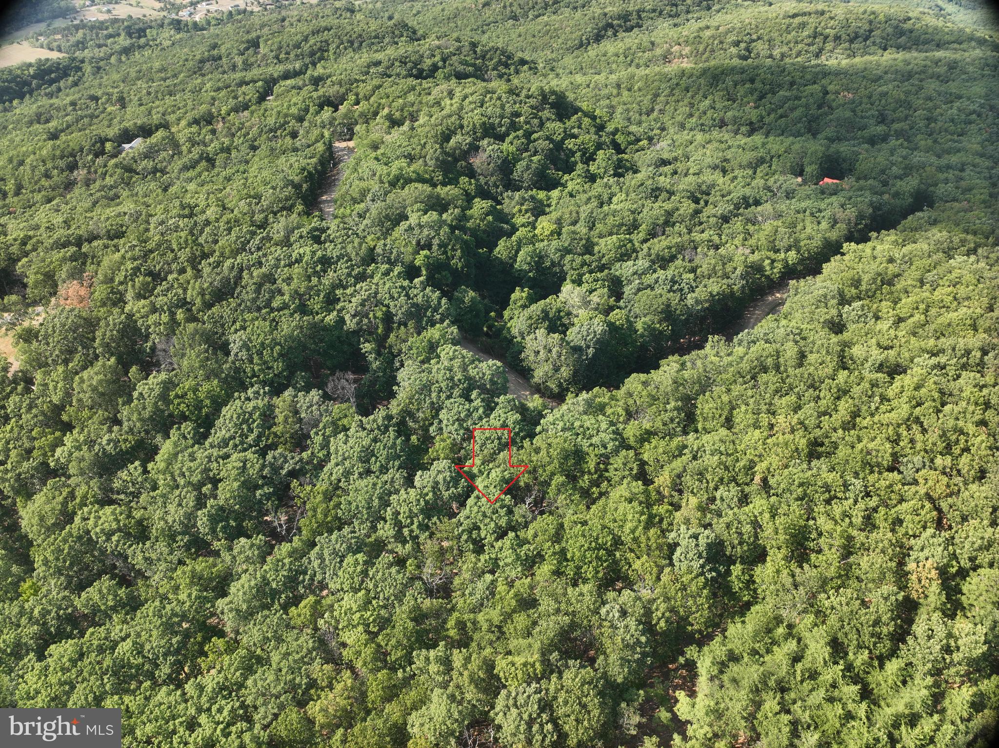 THE WOODS AT TAYLOR LAKE - Land