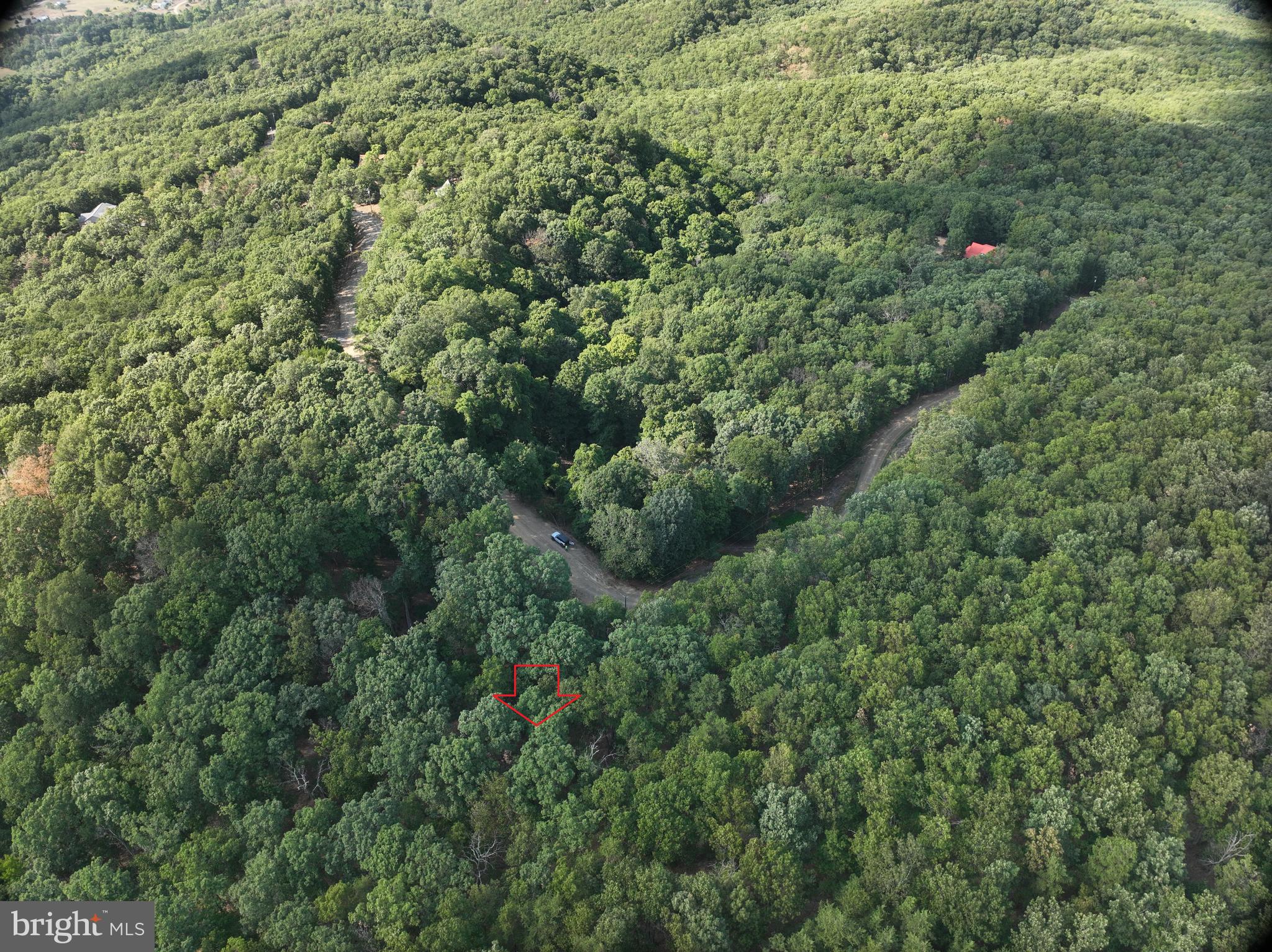 THE WOODS AT TAYLOR LAKE - Land