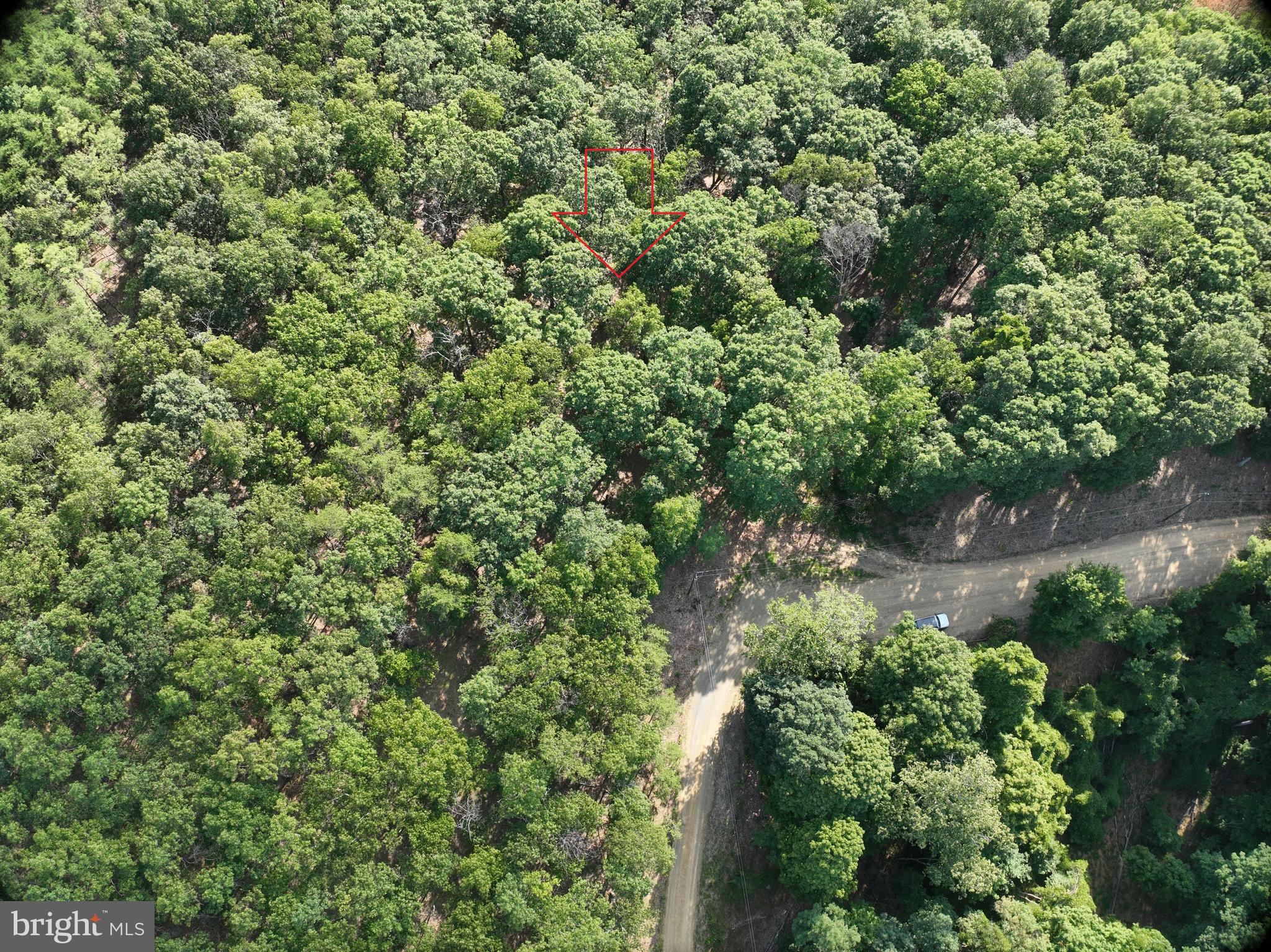 THE WOODS AT TAYLOR LAKE - Land