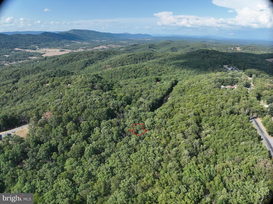 Nestled in the heart of Mineral County, WV, this 9.5-acre wooded parcel with The Woods at Taylor Lake offers a serene and picturesque setting, perfect for those seeking a private retreat or a blank canvas for their dream home. The land is blanketed with mature trees, providing a lush canopy of diverse hardwoods and evergreens, creating a tranquil and shaded environment.

The terrain gently undulates, adding natural interest and potential for creating various outdoor spaces. The diverse vegetation enhances the landscape with seasonal color and texture.

Wildlife abounds, making this a haven for birdwatchers and nature enthusiasts. Deer, small game, fowl, and a variety of bird species can frequently be spotted among the trees.

Ideal for those looking to create a secluded home or cabin, this property offers the perfect balance of privacy and accessibility. Located just a short drive from local amenities in Keyser, WV, and Cumberland, MD, it provides a rare opportunity to own a piece of nature while still being close to modern conveniences.

Less than a three-hour drive from the National Capitol Region and Pittsburgh.
