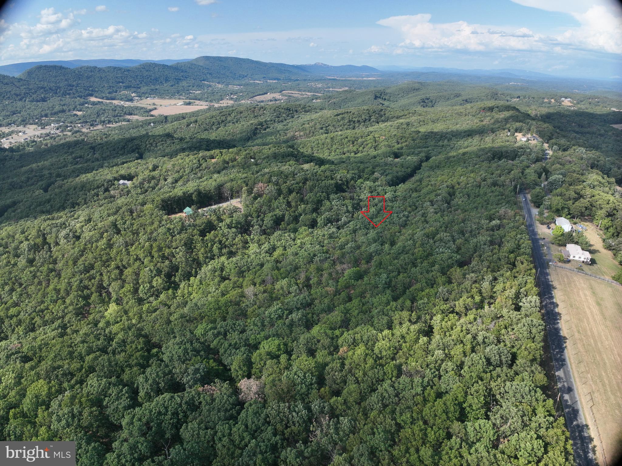 THE WOODS AT TAYLOR LAKE - Land