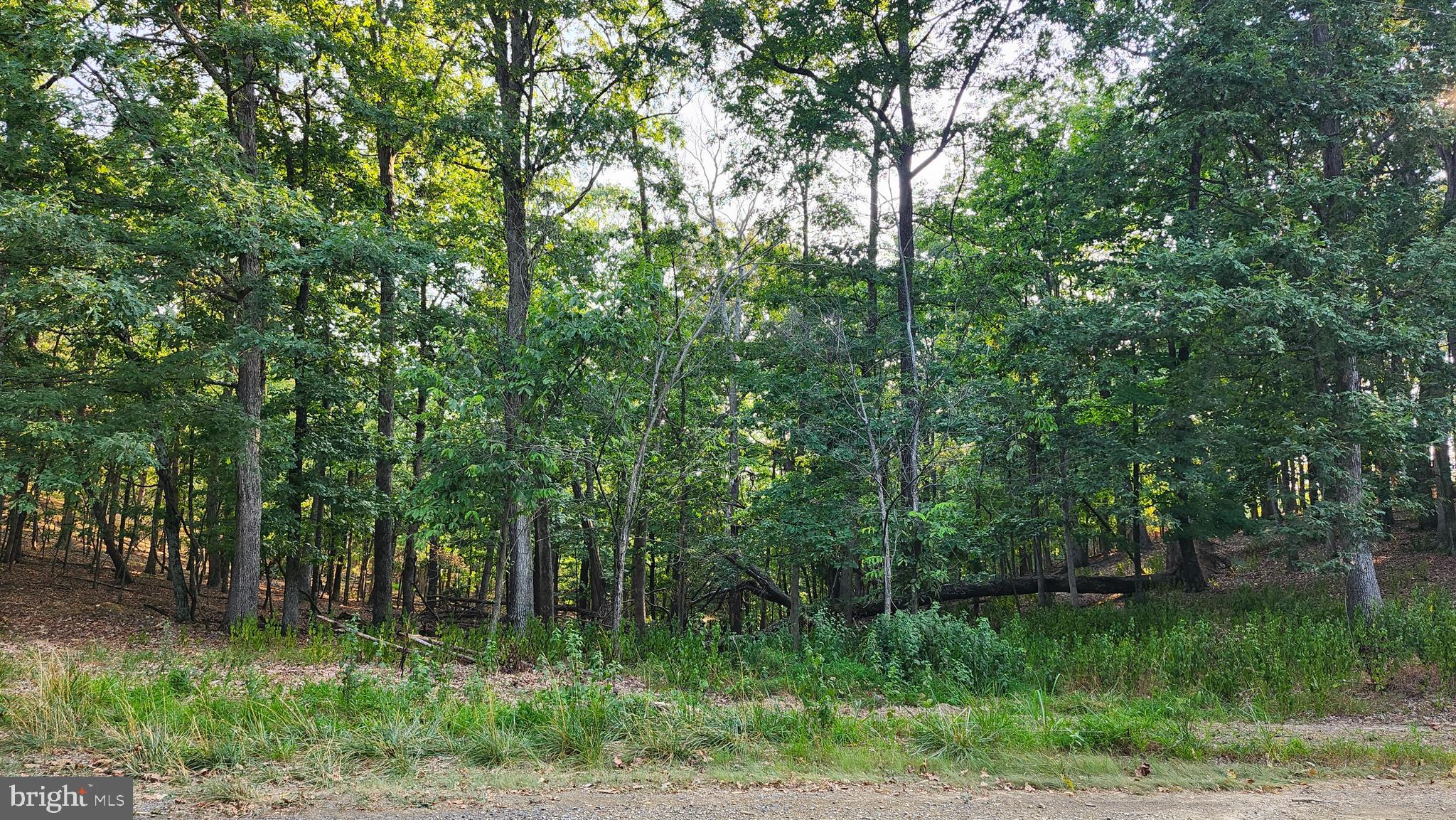 THE WOODS AT TAYLOR LAKE - Land