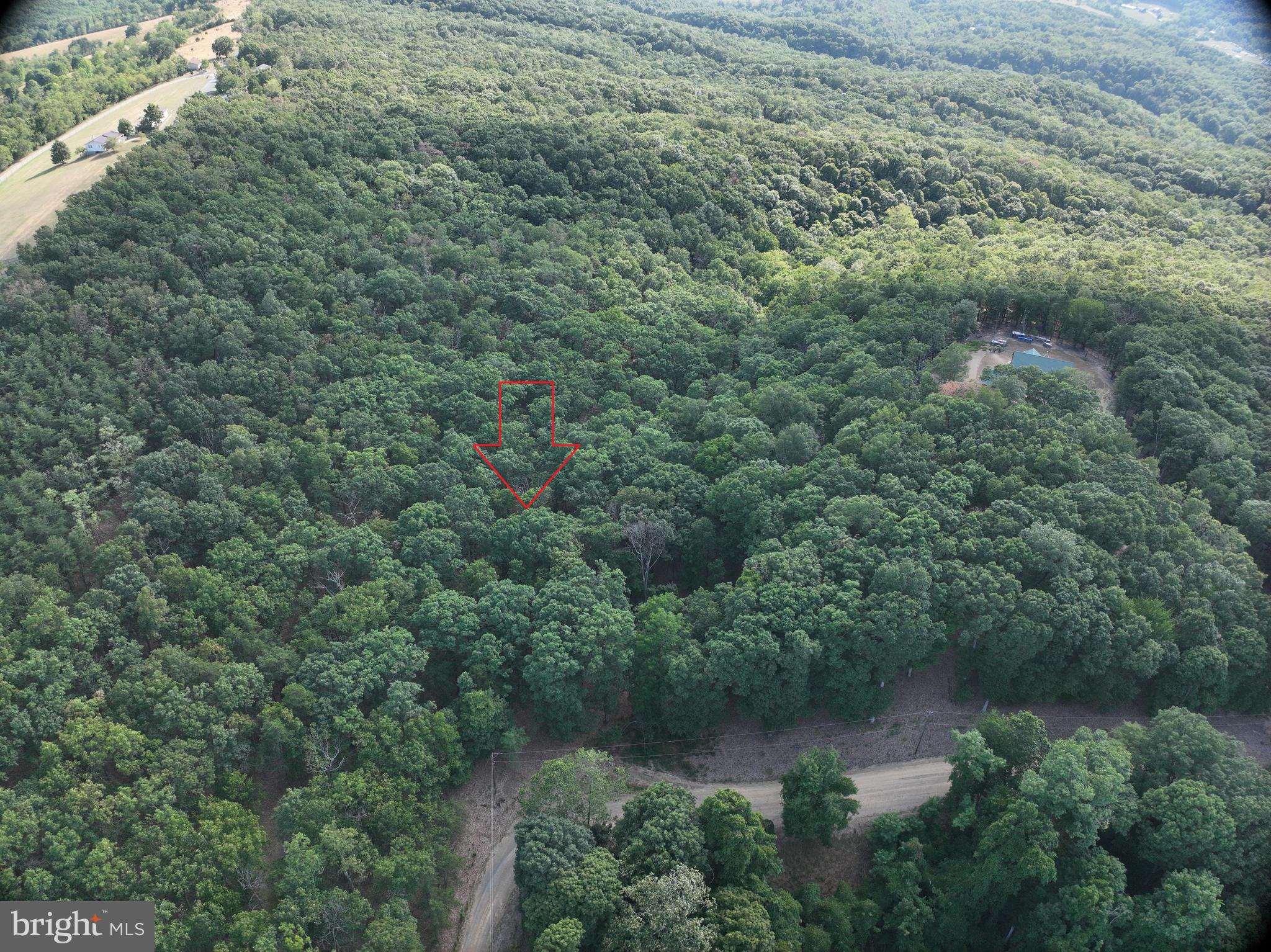 THE WOODS AT TAYLOR LAKE - Land