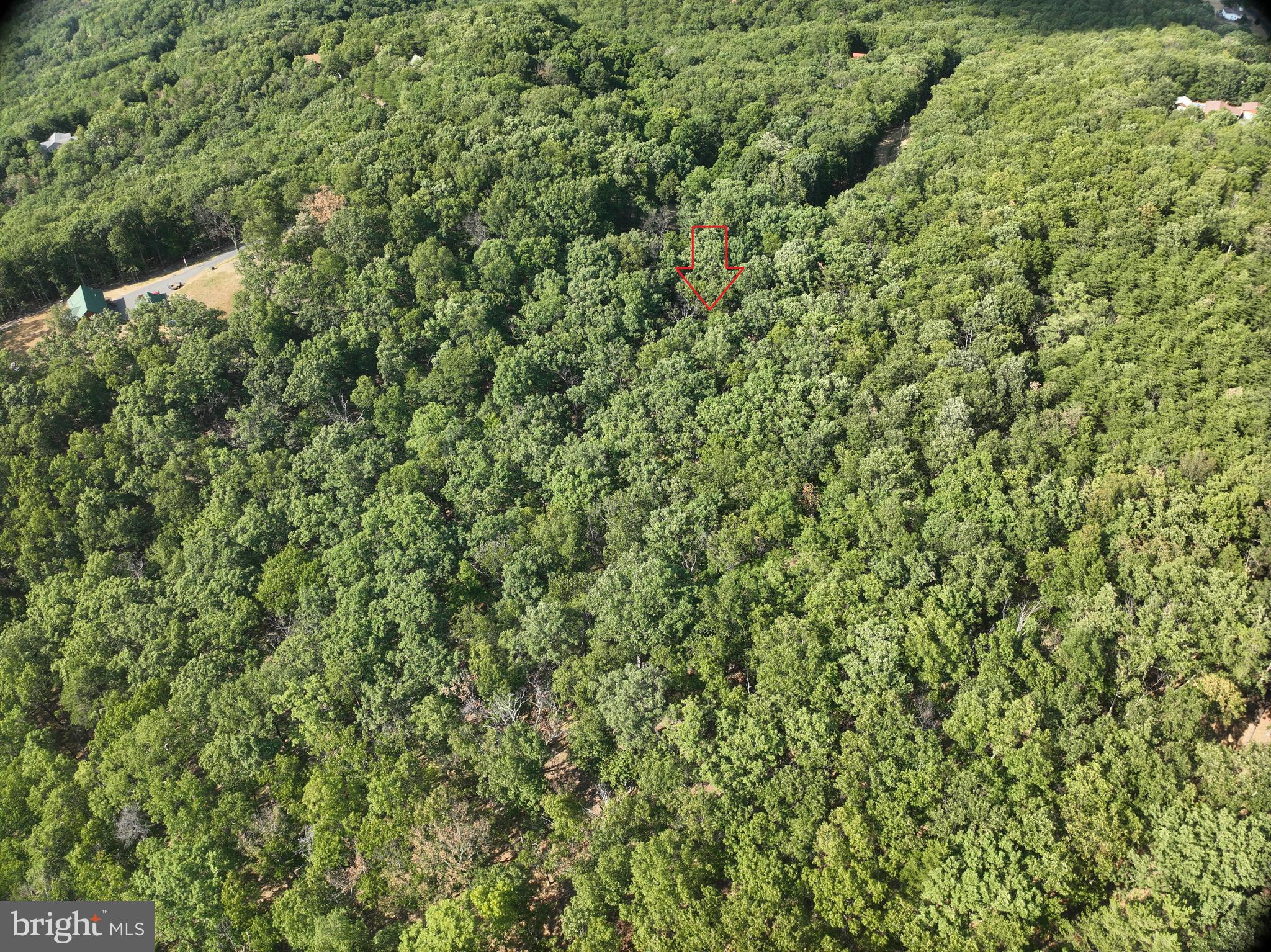 THE WOODS AT TAYLOR LAKE - Land