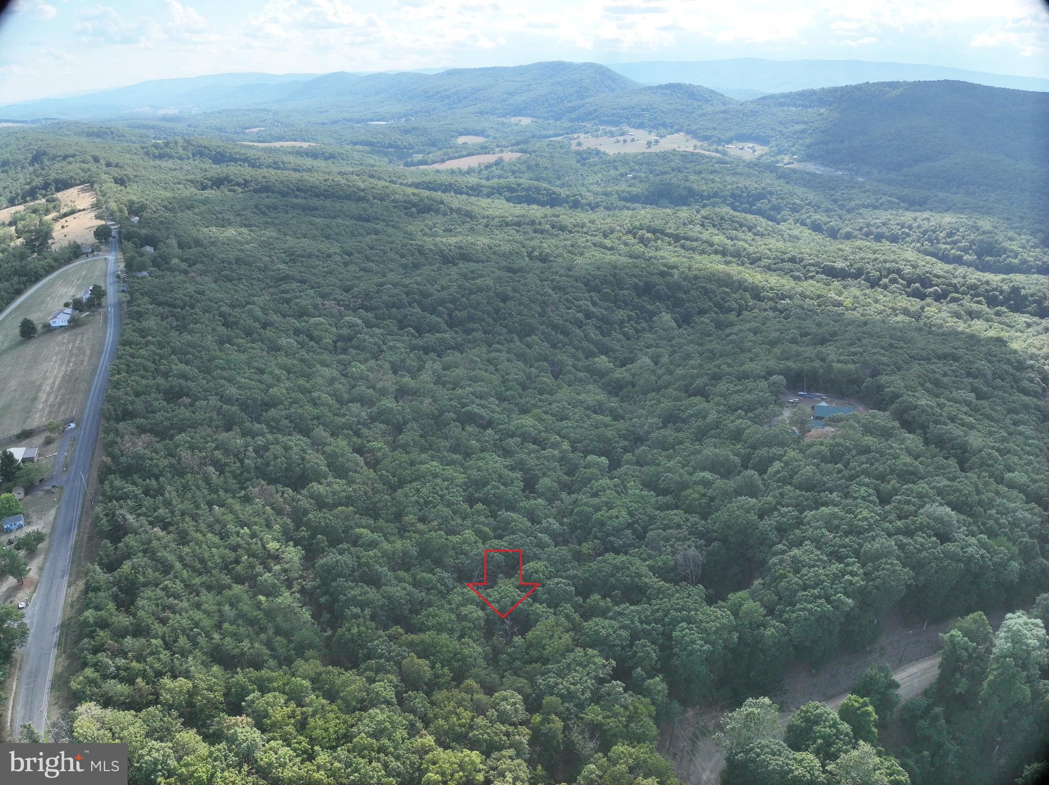 THE WOODS AT TAYLOR LAKE - Land