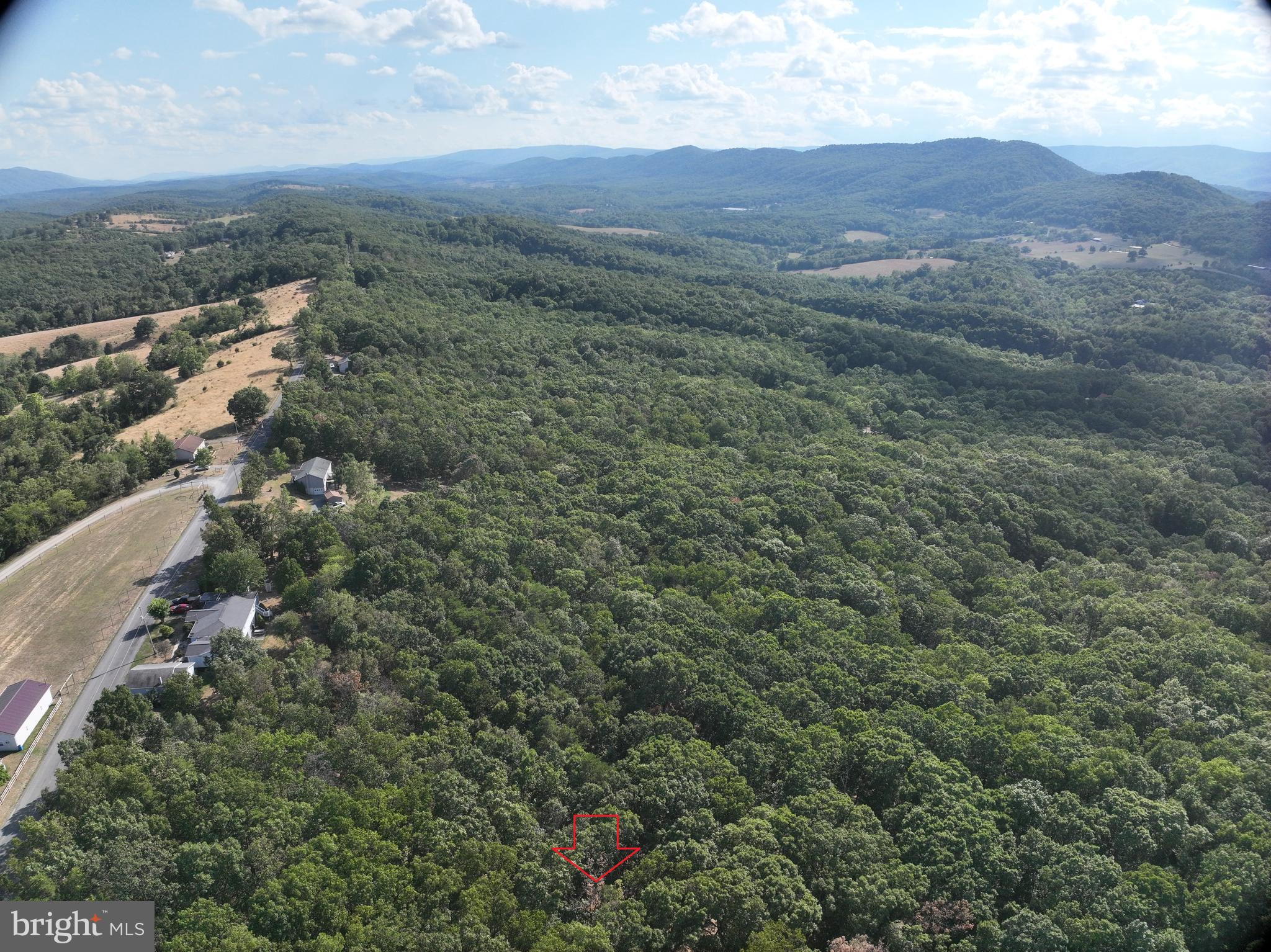 THE WOODS AT TAYLOR LAKE - Land