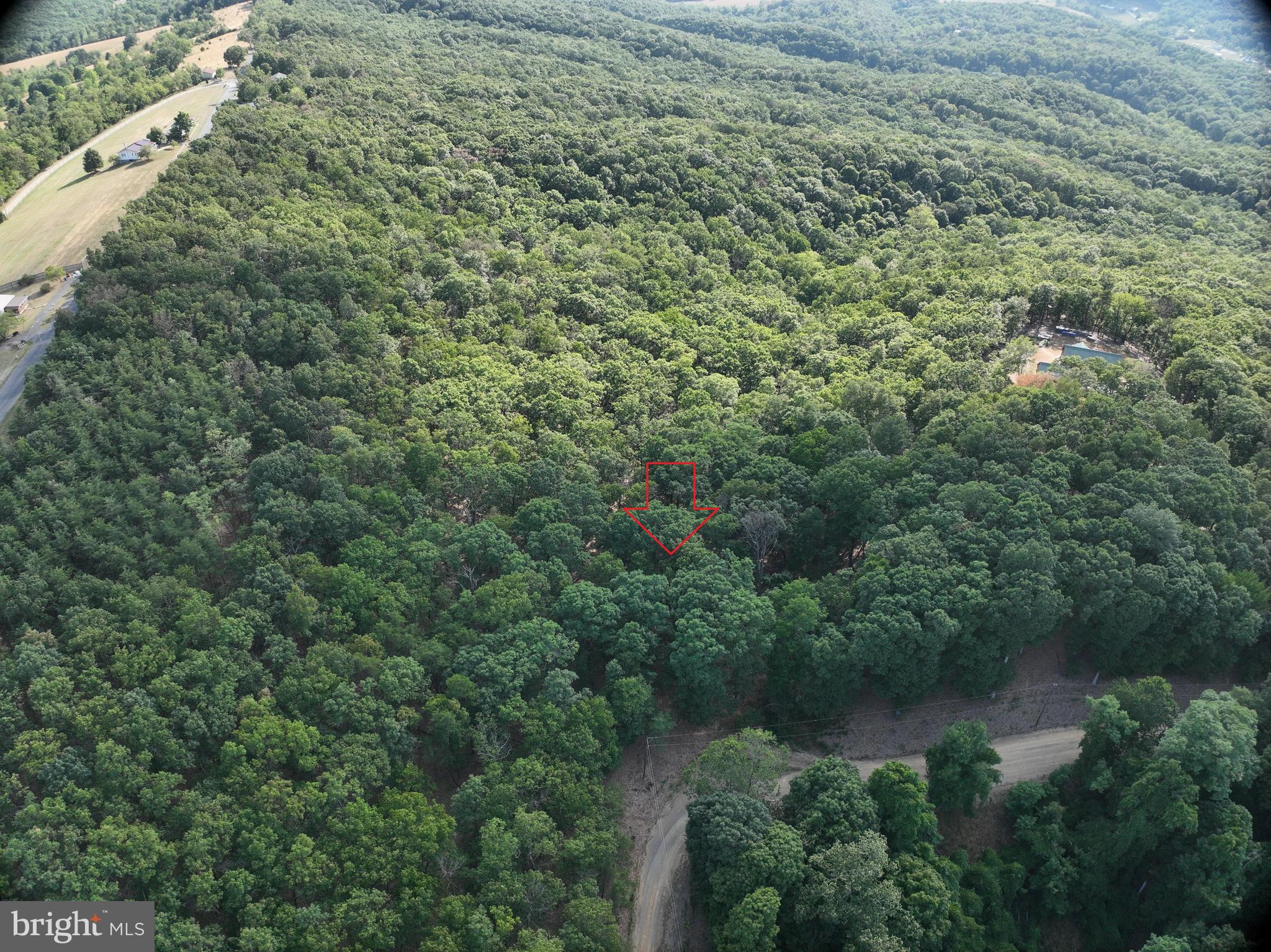 THE WOODS AT TAYLOR LAKE - Land