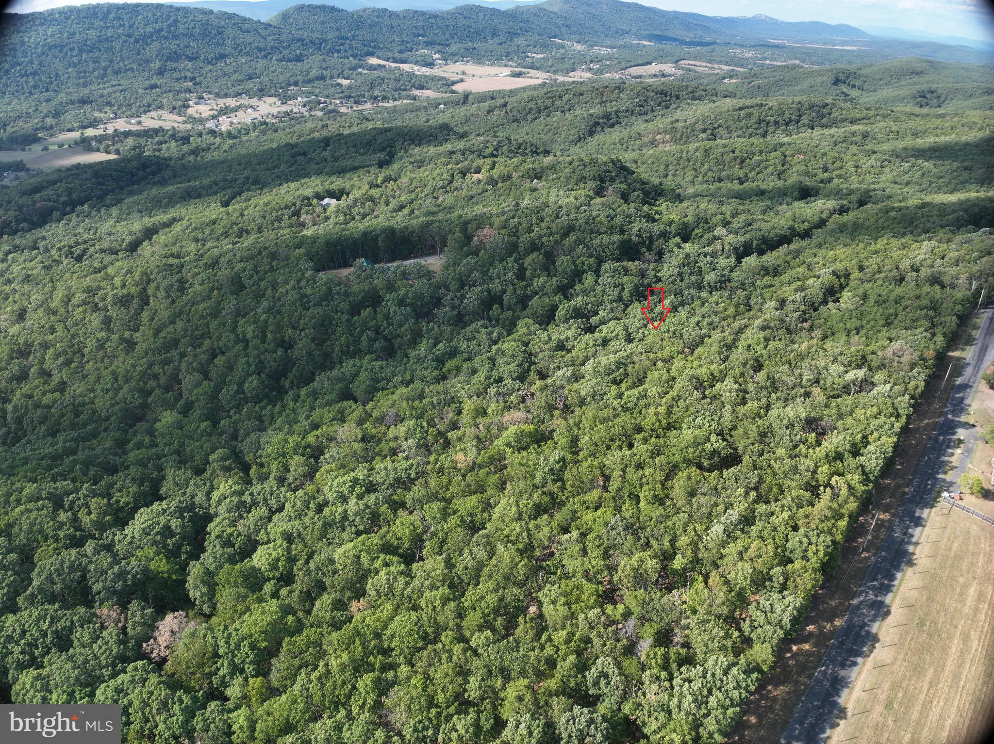 THE WOODS AT TAYLOR LAKE - Land