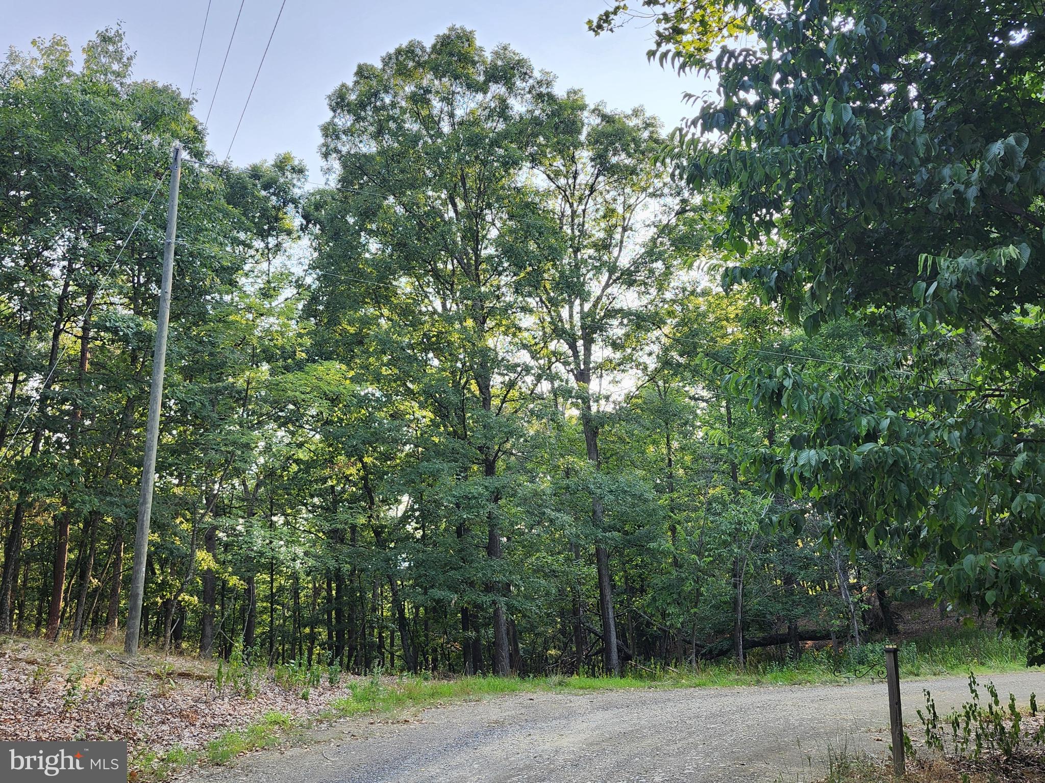 THE WOODS AT TAYLOR LAKE - Land