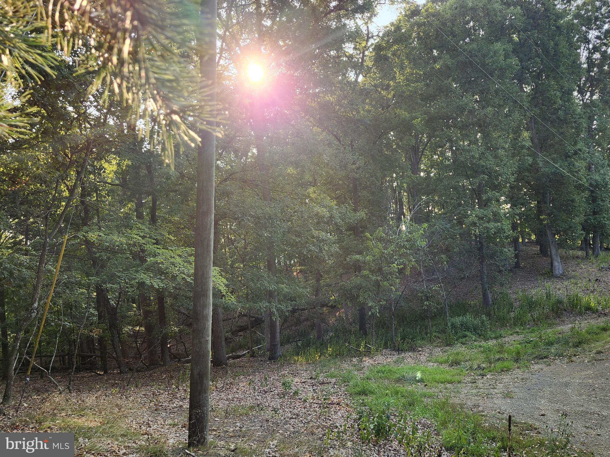 THE WOODS AT TAYLOR LAKE - Land