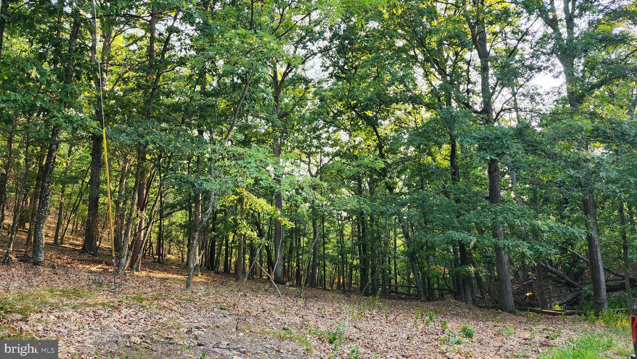 THE WOODS AT TAYLOR LAKE - Land