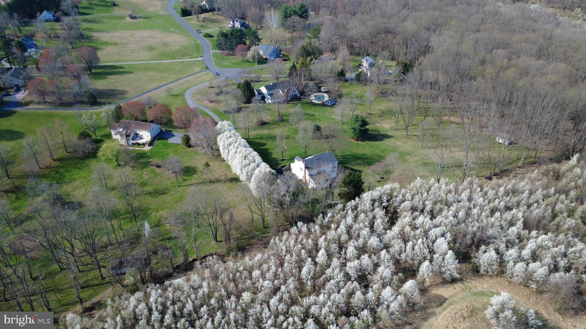 AMBER MEADOWS - Residential