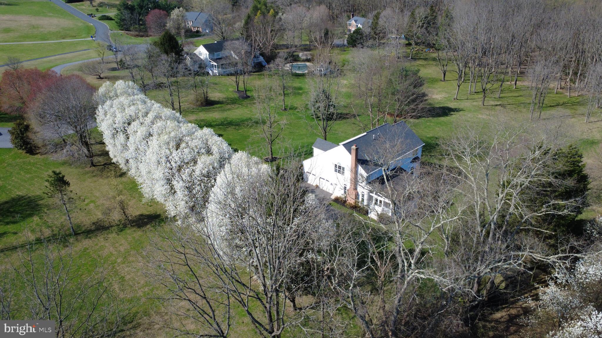 AMBER MEADOWS - Residential
