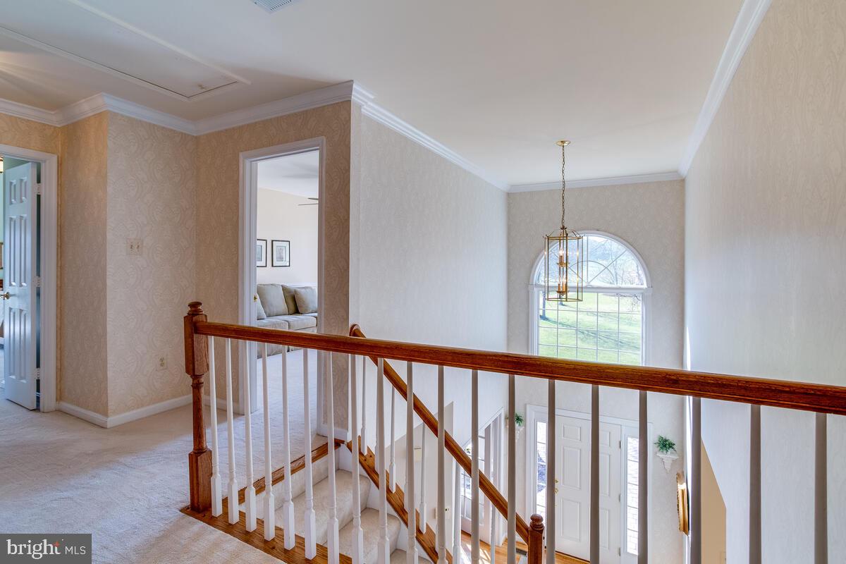 AMBER MEADOWS - Residential