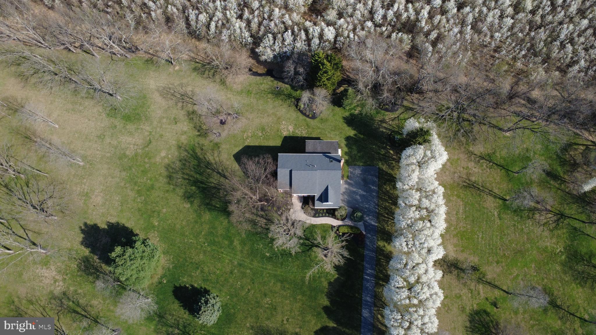 AMBER MEADOWS - Residential