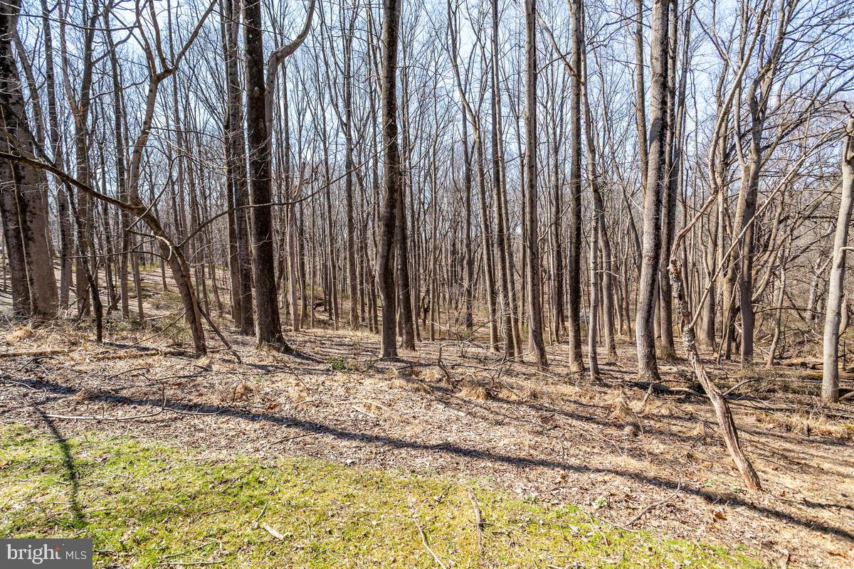 AMBER MEADOWS - Residential