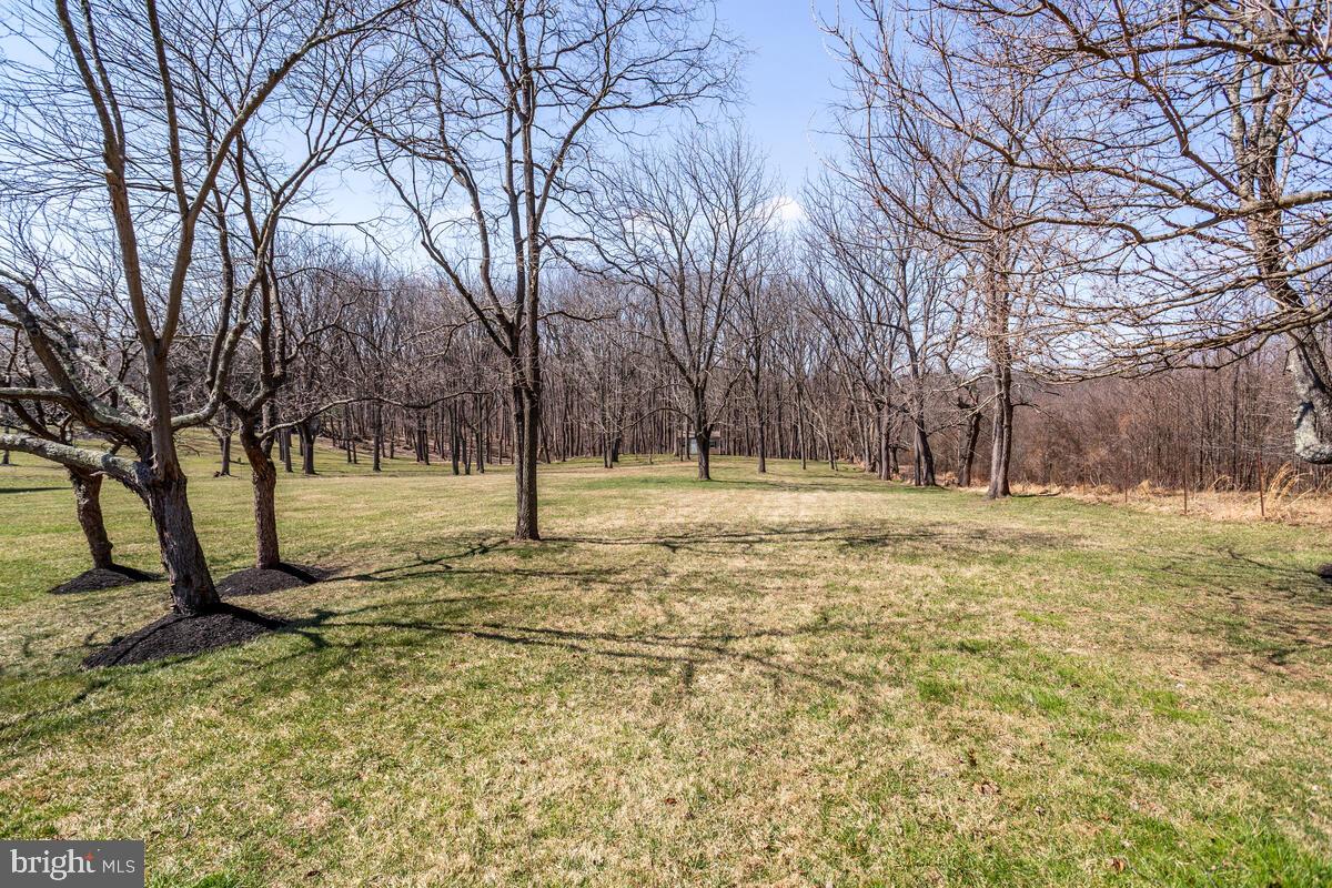 AMBER MEADOWS - Residential