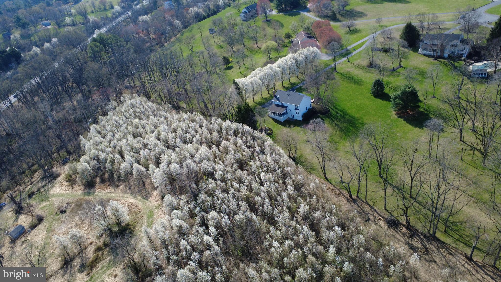 AMBER MEADOWS - Residential