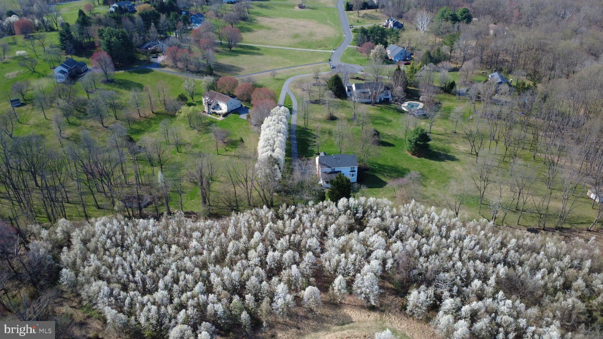 AMBER MEADOWS - Residential