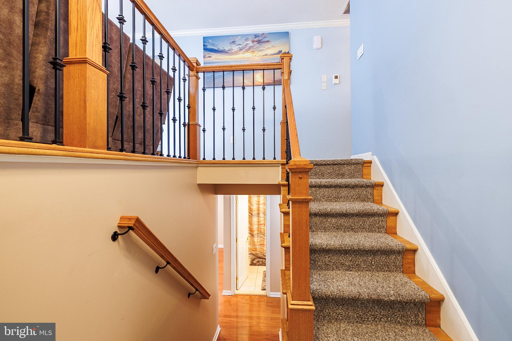 MARLBORO MEADOWS - Residential